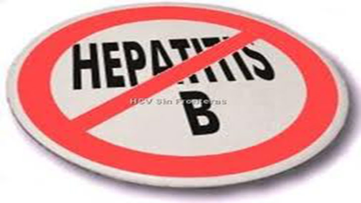 Hoja de ruta del virus de la hepatitis B en Argentina