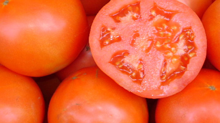 Los secretos del tomate se descubren en equipo