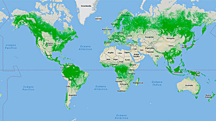 Bosques fragmentados