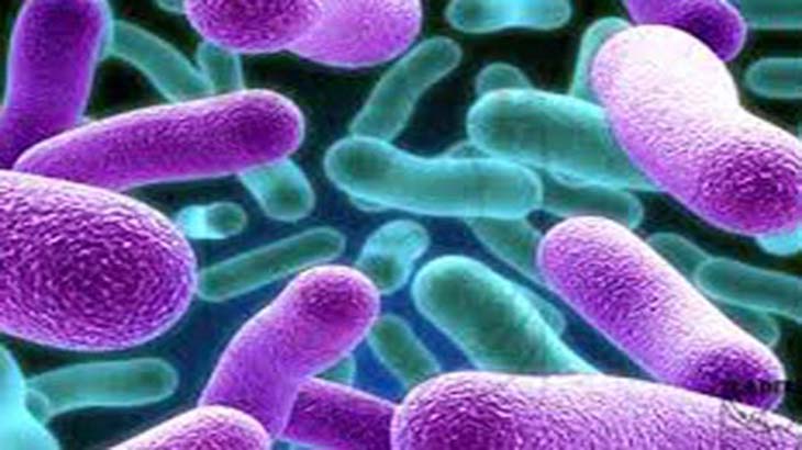Tuberculosis: logran detener el crecimiento de la bacteria que produce la enfermedad