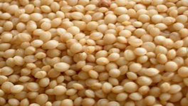 El amaranto, un pseudo cereal con beneficios reales