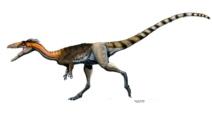 Lucianovenator, un dinosaurio fuera del Valle de la Luna