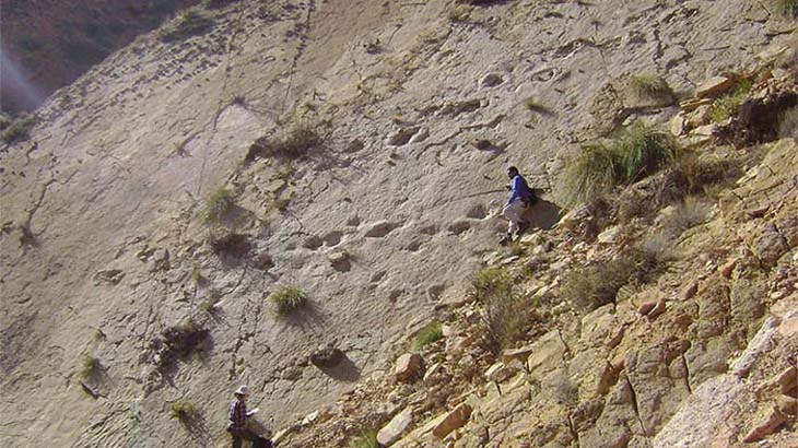 Encuentran evidencias de dinosaurios en la Quebrada de Humahuaca