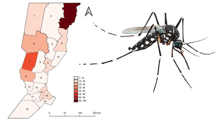 Crece la incidencia del dengue en la provincia de Santa Fe