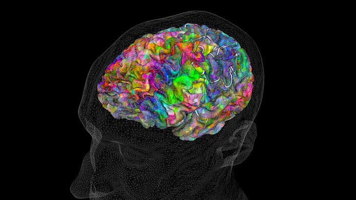 Estudian el cerebro en vivo para remediar trastornos del lenguaje